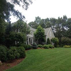 Mature Hillside planting front.