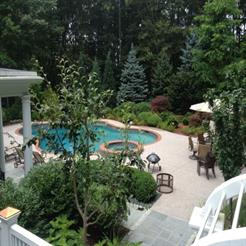 Mature Hillside planting back.