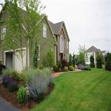 Foundation Planting. View two.